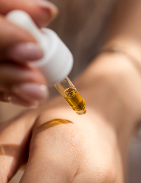 Humble Beginnings, Bold Visions